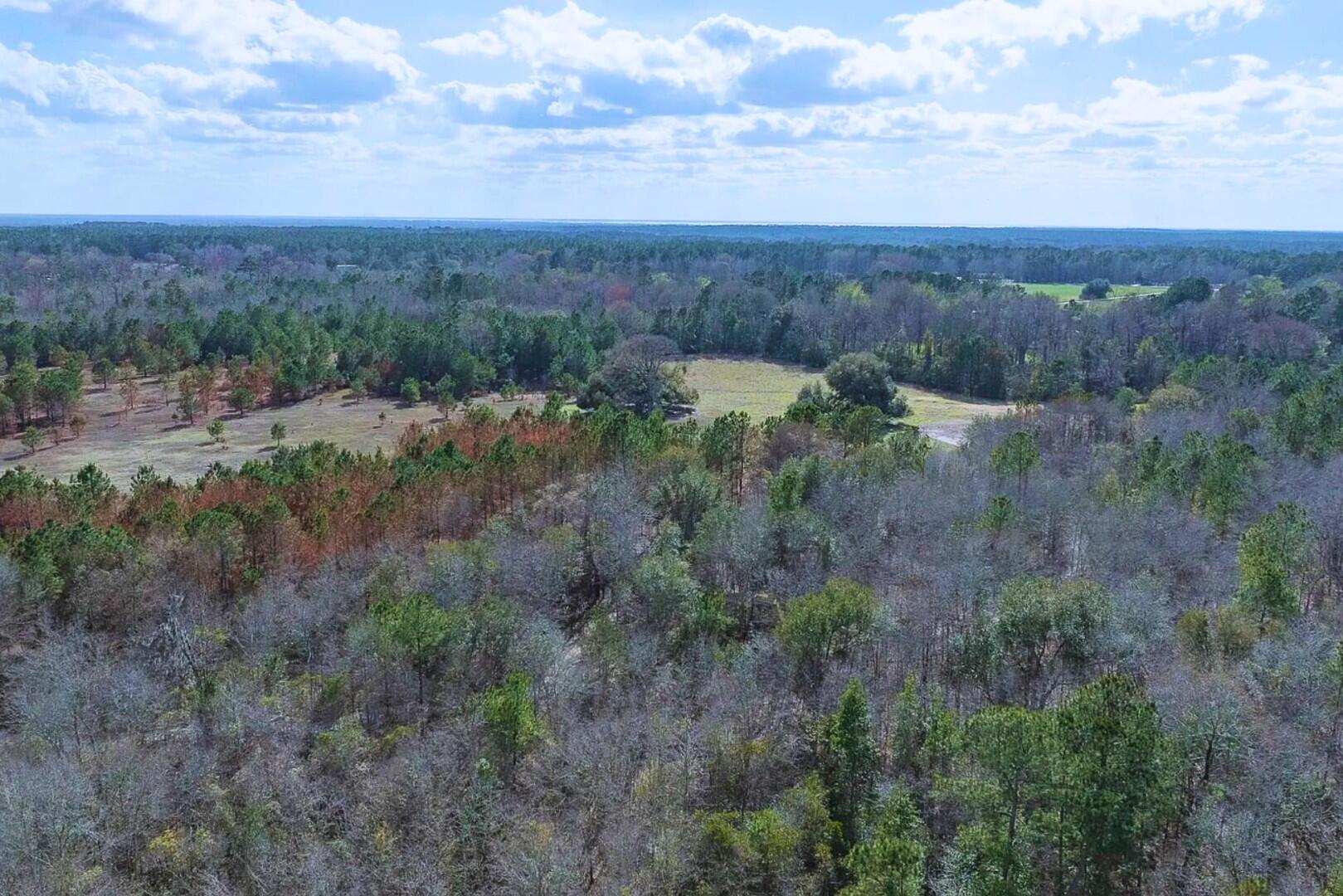 2 Pompey Road Manning, SC 29102 - Photo 20 of 40