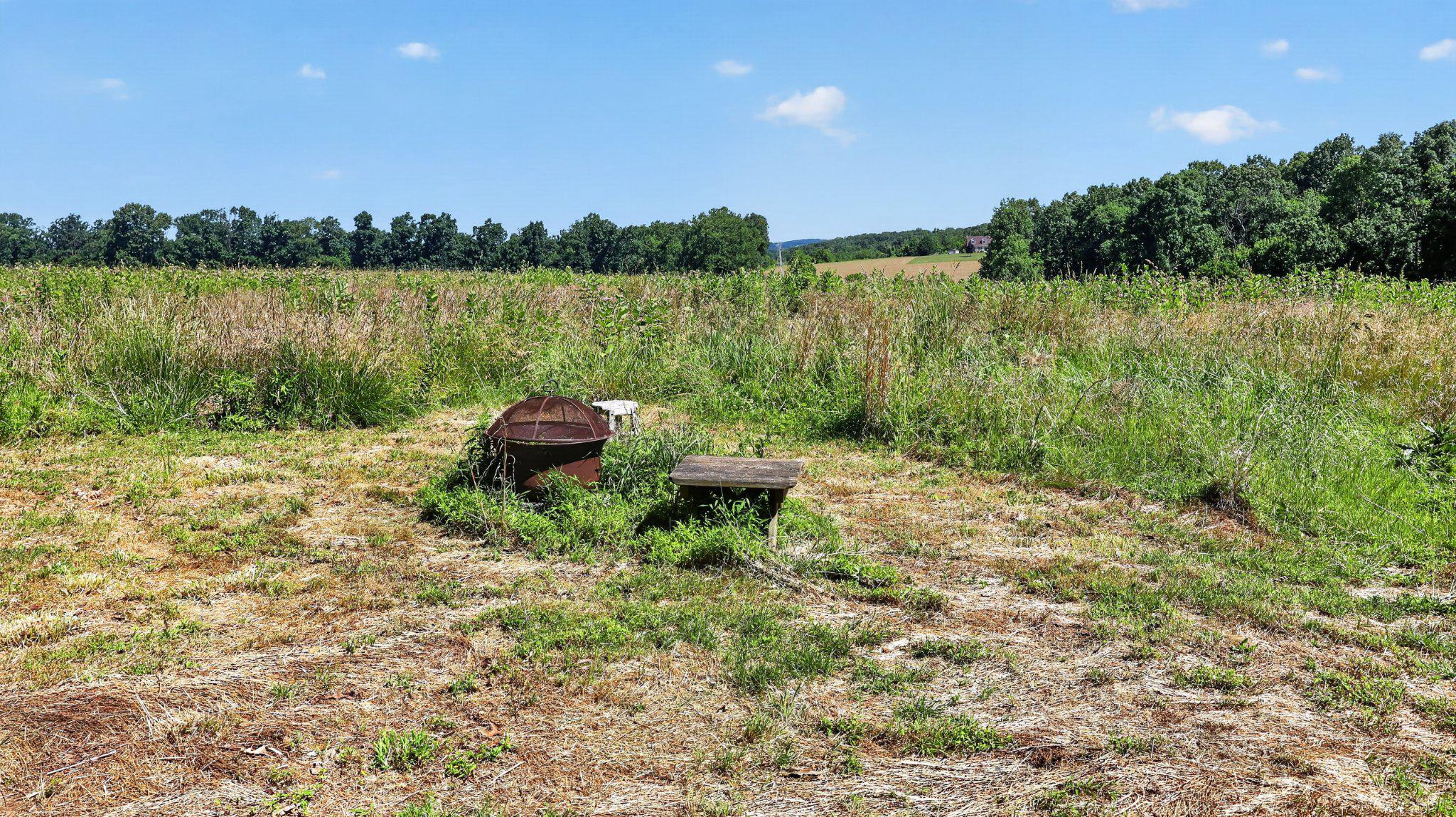 8042 Bobs Road Felton, PA 17322 - Photo 32 of 47 Campsite on S end overlooking property, facing N