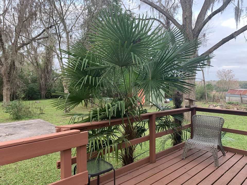 347 Ridge Road Madison, FL 32340 - Photo 22 of 27