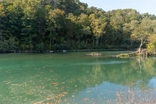 $250,000 | 2300 Cr 149 Alton Mo 65606, Alton, MO 65606