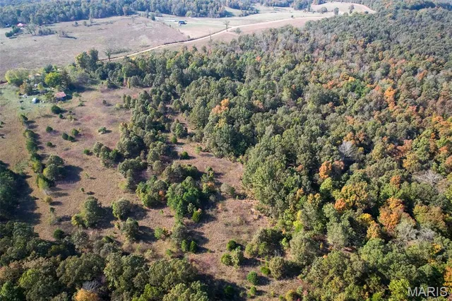 $250,000 | 2300 Cr 149 Alton Mo 65606, Alton, MO 65606