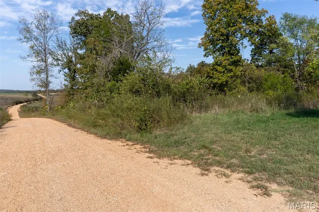 $250,000 | 2300 Cr 149 Alton Mo 65606, Alton, MO 65606