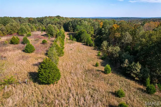 $250,000 | 2300 Cr 149 Alton Mo 65606, Alton, MO 65606