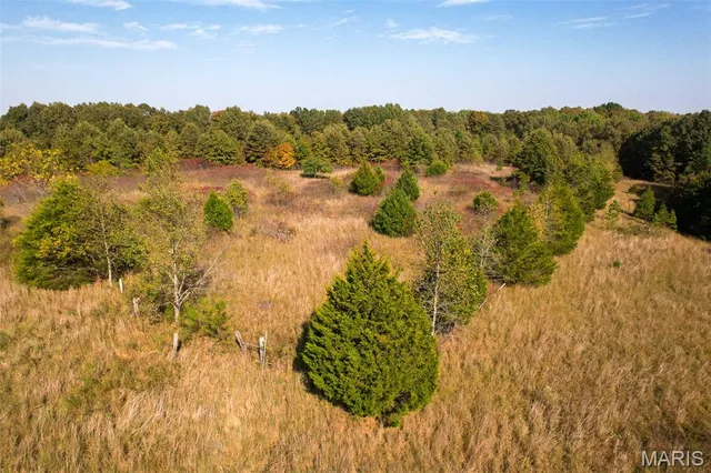 $250,000 | 2300 Cr 149 Alton Mo 65606, Alton, MO 65606