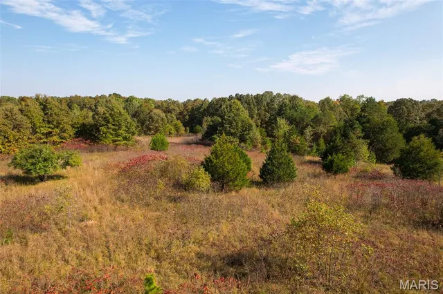 $250,000 | 2300 Cr 149 Alton Mo 65606, Alton, MO 65606