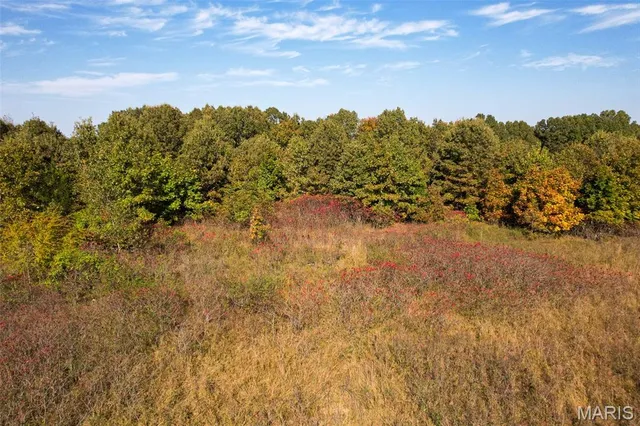 $250,000 | 2300 Cr 149 Alton Mo 65606, Alton, MO 65606