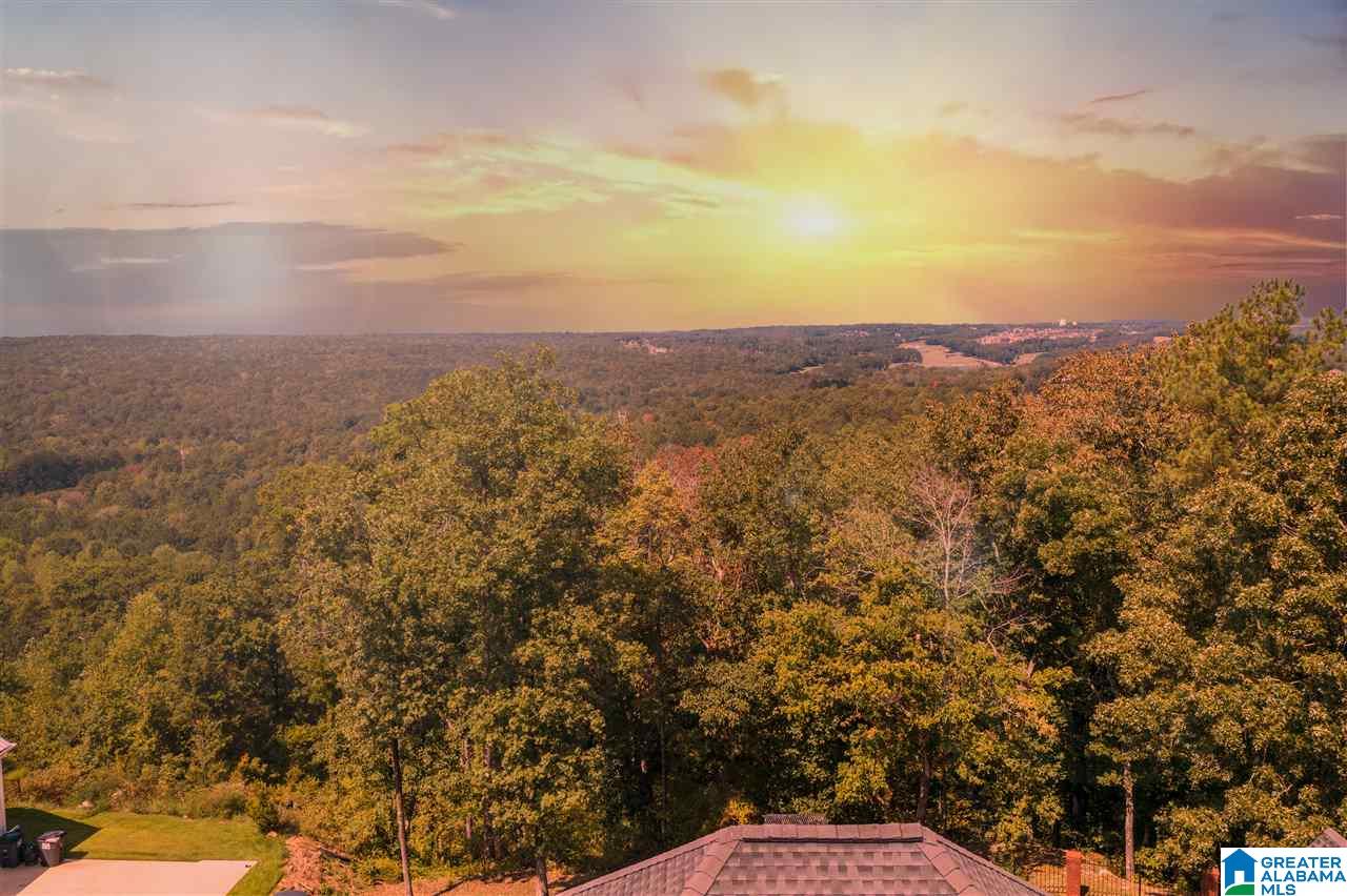 238 Shades Crest Road Birmingham, AL 35226 - Photo 3 of 50