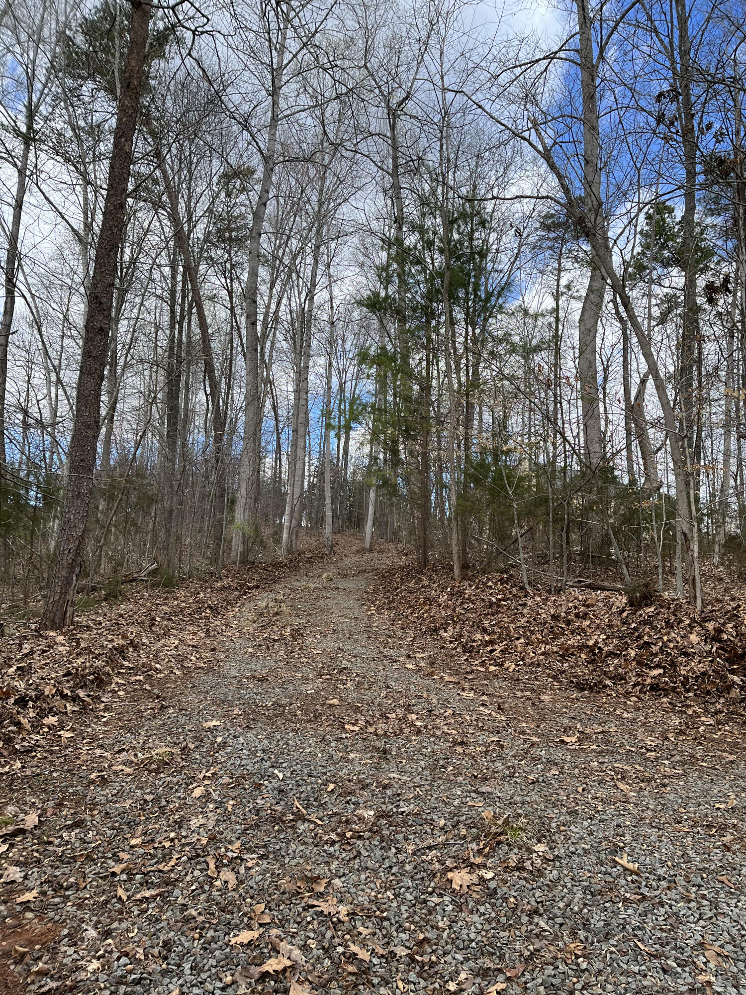 Lot 5 Cedar Bay Rd Union Union Hall, VA 24176 - Photo 3 of 6 a backyard of a house with lots of green space