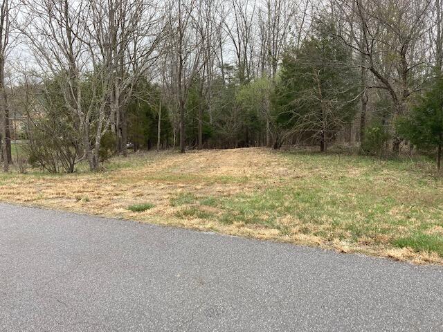 Lot 5 Cedar Bay Rd Union Union Hall, VA 24176 - Photo 6 of 6 a view of a yard with a tree