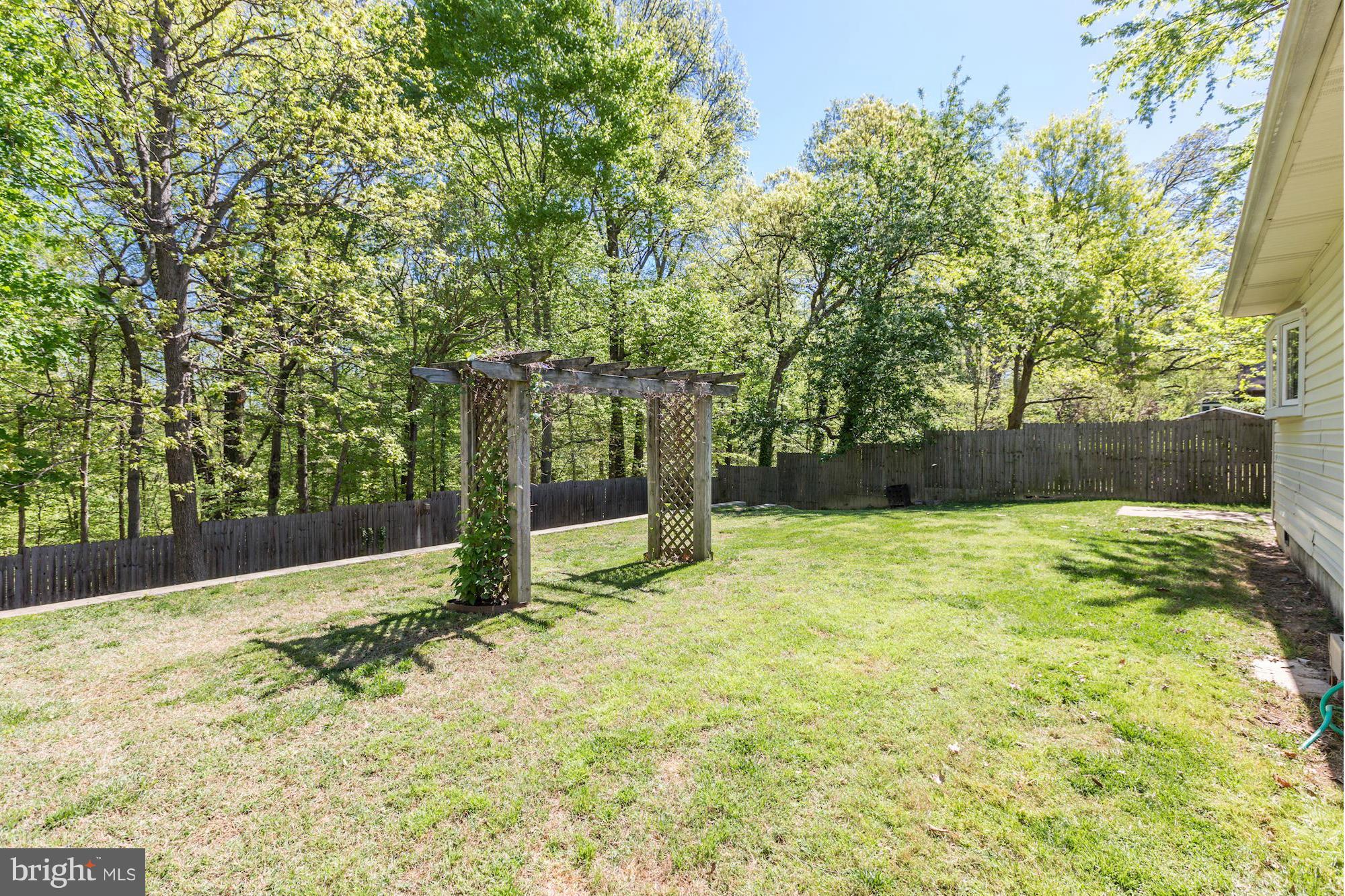 6907 Quander Road Alexandria, VA 22307 - Photo 28 of 30 Back Yard