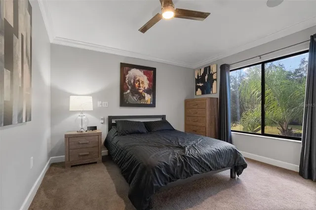 $4,600 | 13228 Royal George Avenue, Odessa, FL 33556