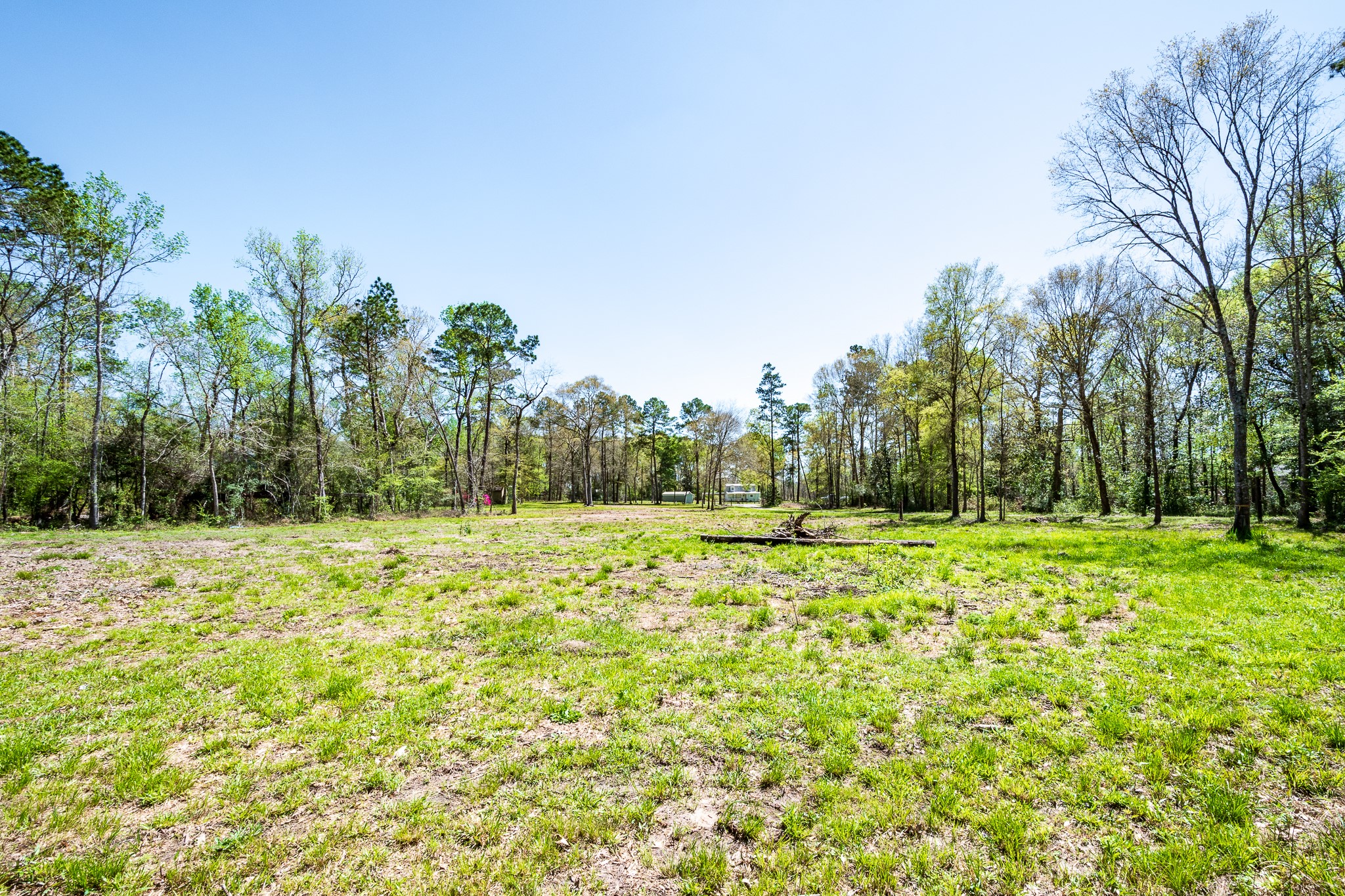 a view of a yard with trees