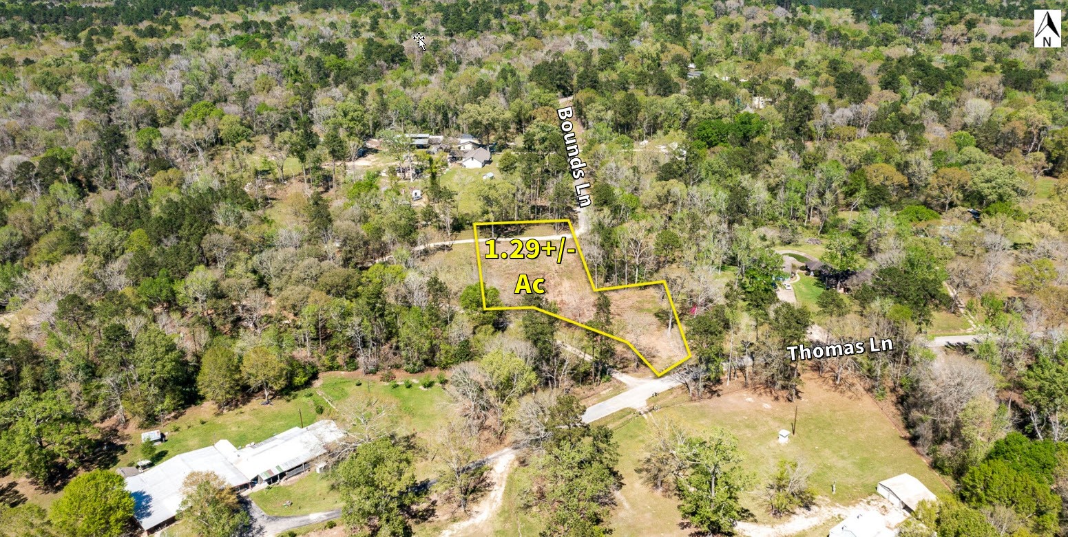 Tbd Thomas Lane Huffman, TX 77336 - Photo 13 of 14 a view of a yard with a tree