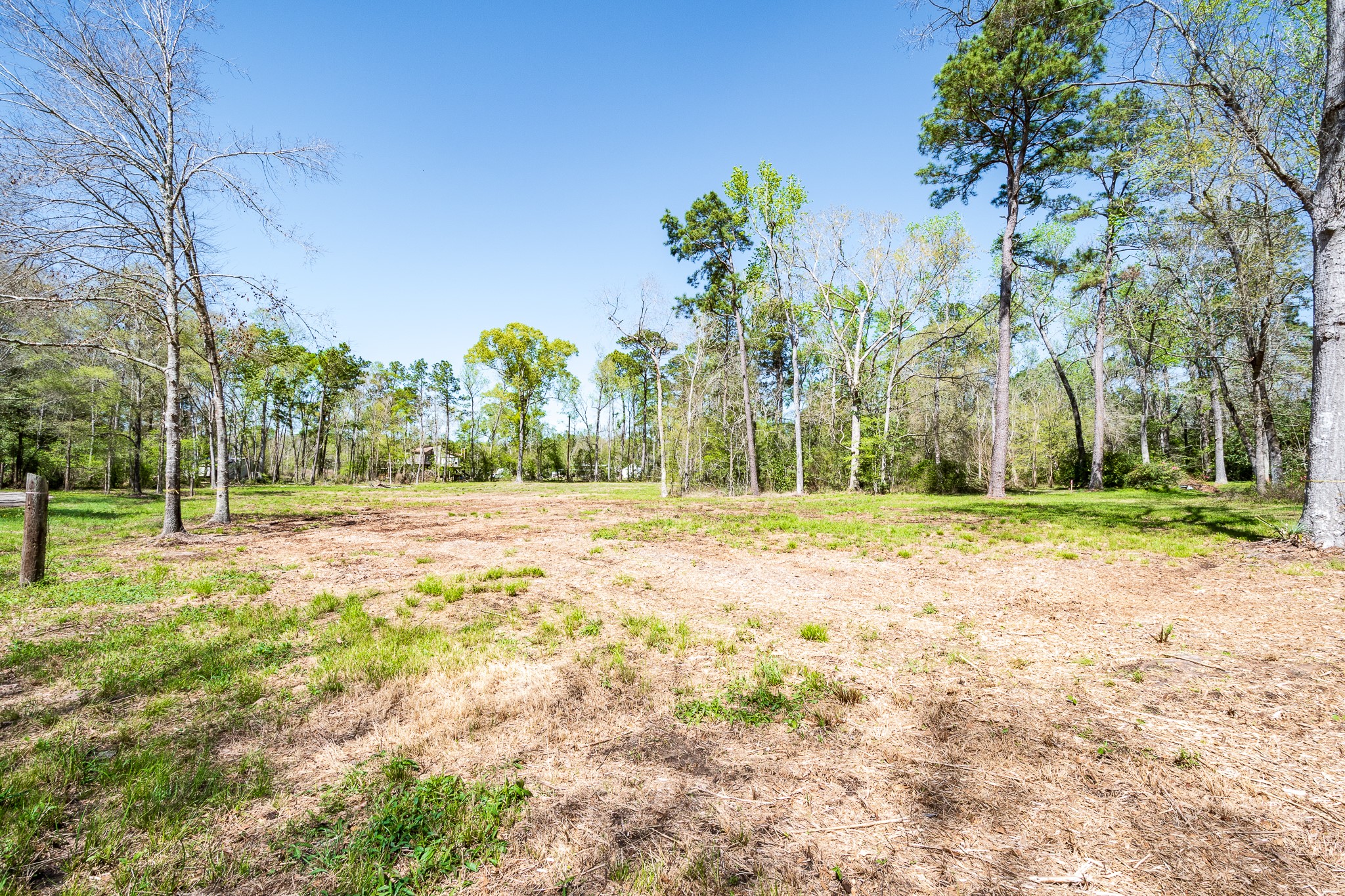 Tbd Thomas Lane Huffman, TX 77336 - Photo 2 of 14 a view of a yard with palm trees