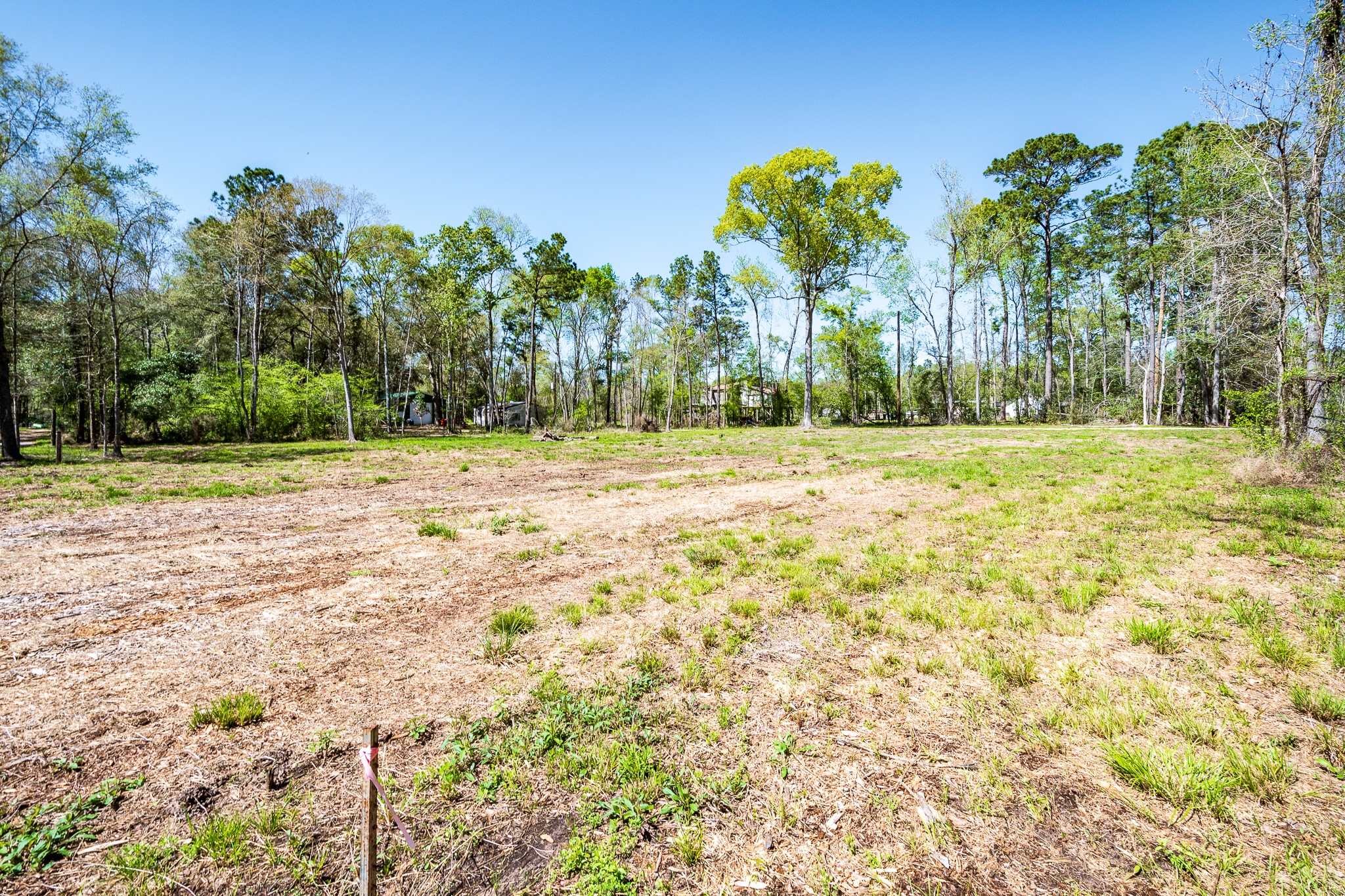 Tbd Thomas Lane Huffman, TX 77336 - Photo 3 of 14 a view of a yard with plants and trees