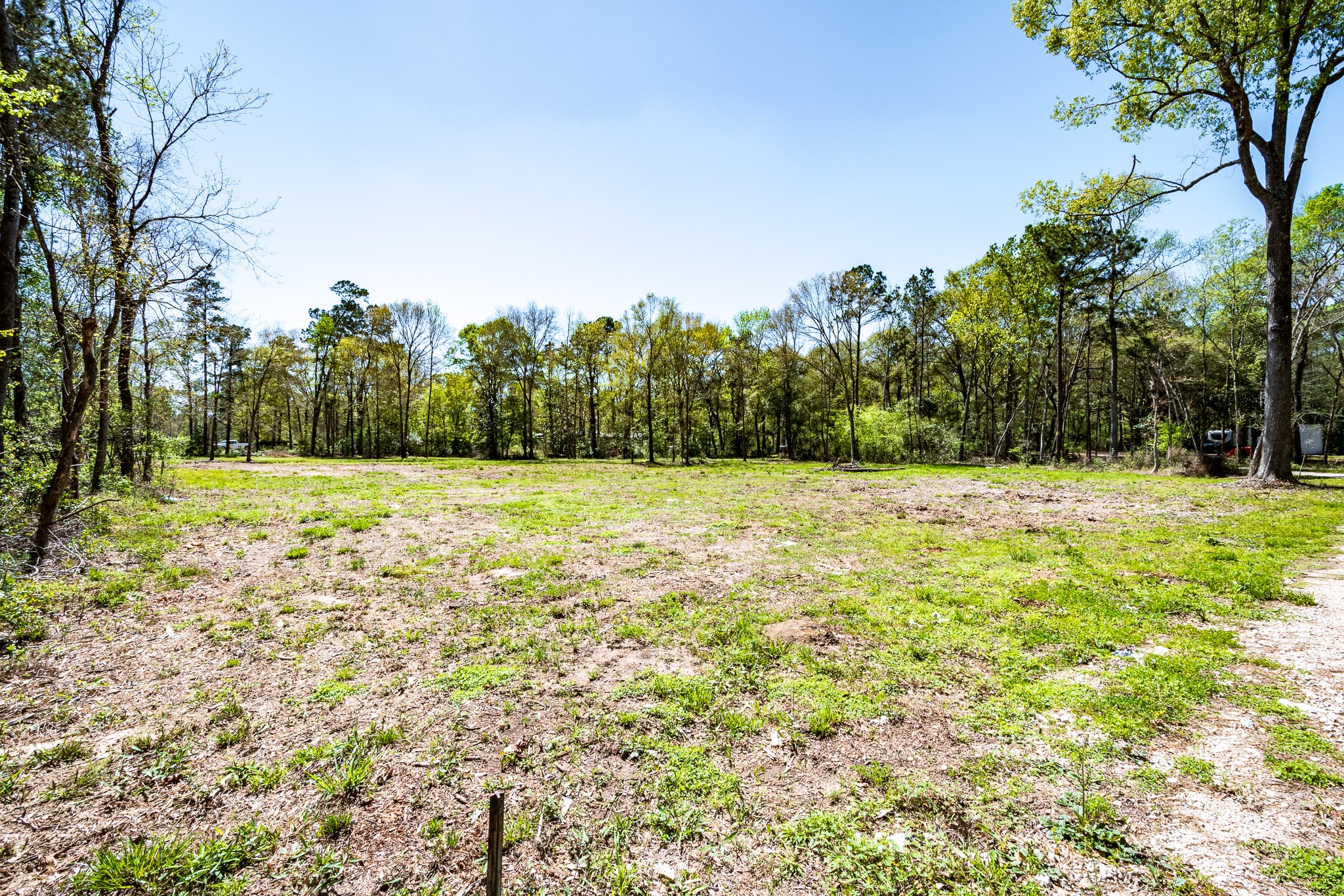 Tbd Thomas Lane Huffman, TX 77336 - Photo 4 of 14 a view of a garden with trees