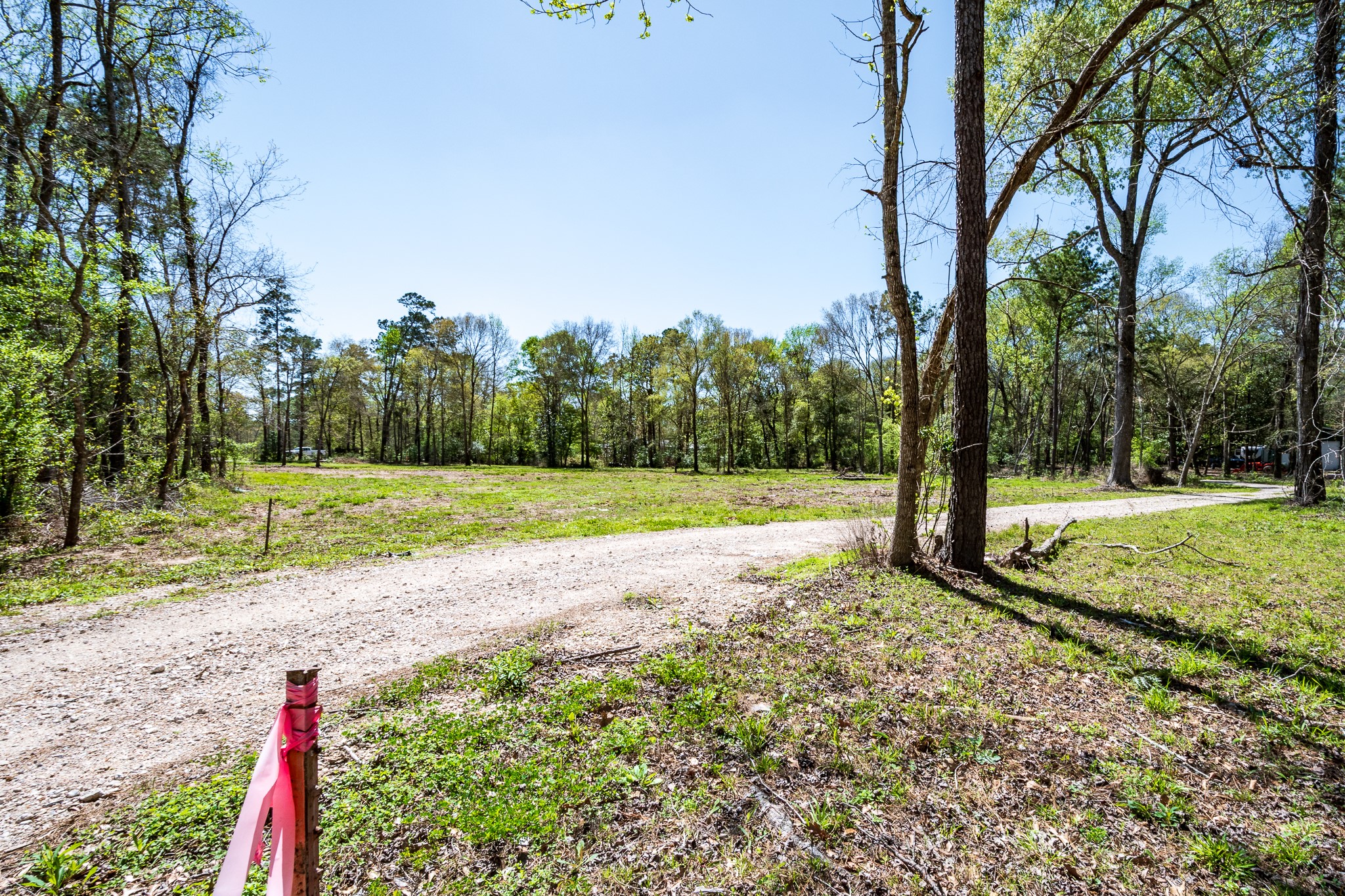 Tbd Thomas Lane Huffman, TX 77336 - Photo 6 of 14 a view of a park with tree s
