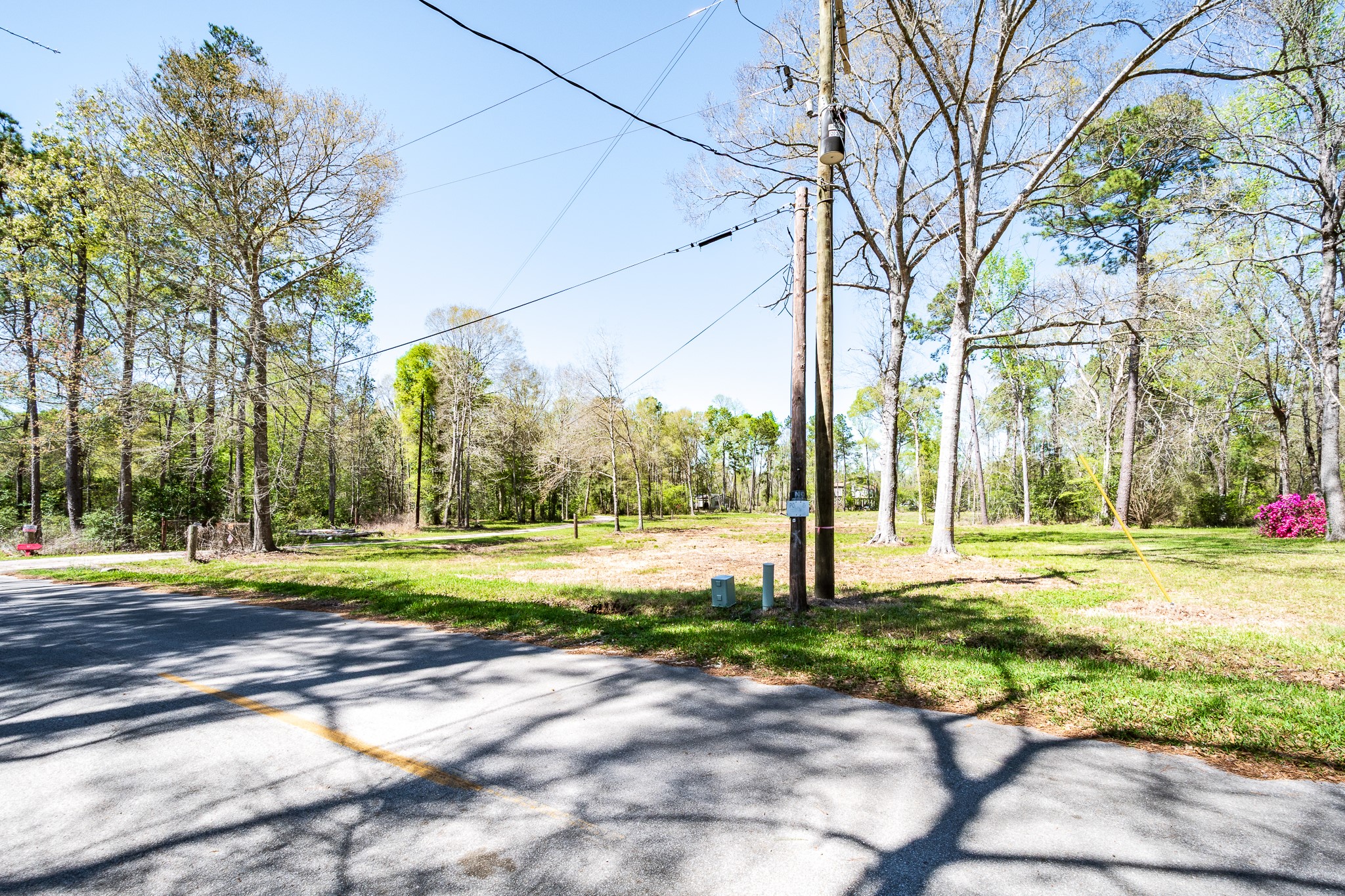 Tbd Thomas Lane Huffman, TX 77336 - Photo 8 of 14 a view of a trees in front of a house
