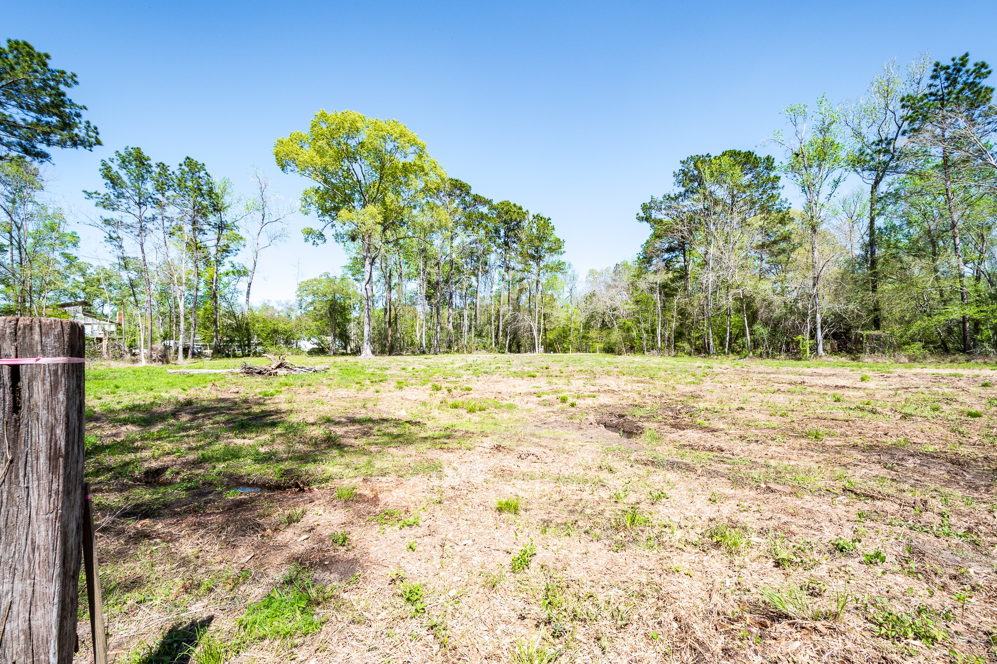 Tbd Thomas Lane Huffman, TX 77336 - Photo 10 of 14 a view of yard with large trees