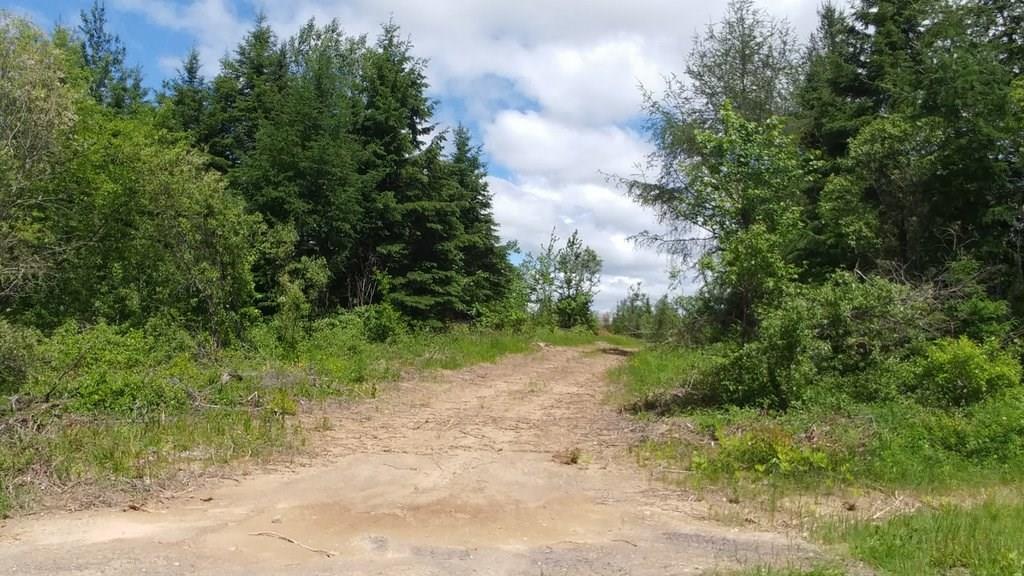 Off Jackins Settlement Road Orient, ME 04471 - Photo 2 of 25 Photo