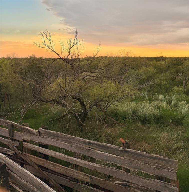 1400 Hammond Road Quanah, TX 79252 - Photo 13 of 18 a view of a yard from a lake view