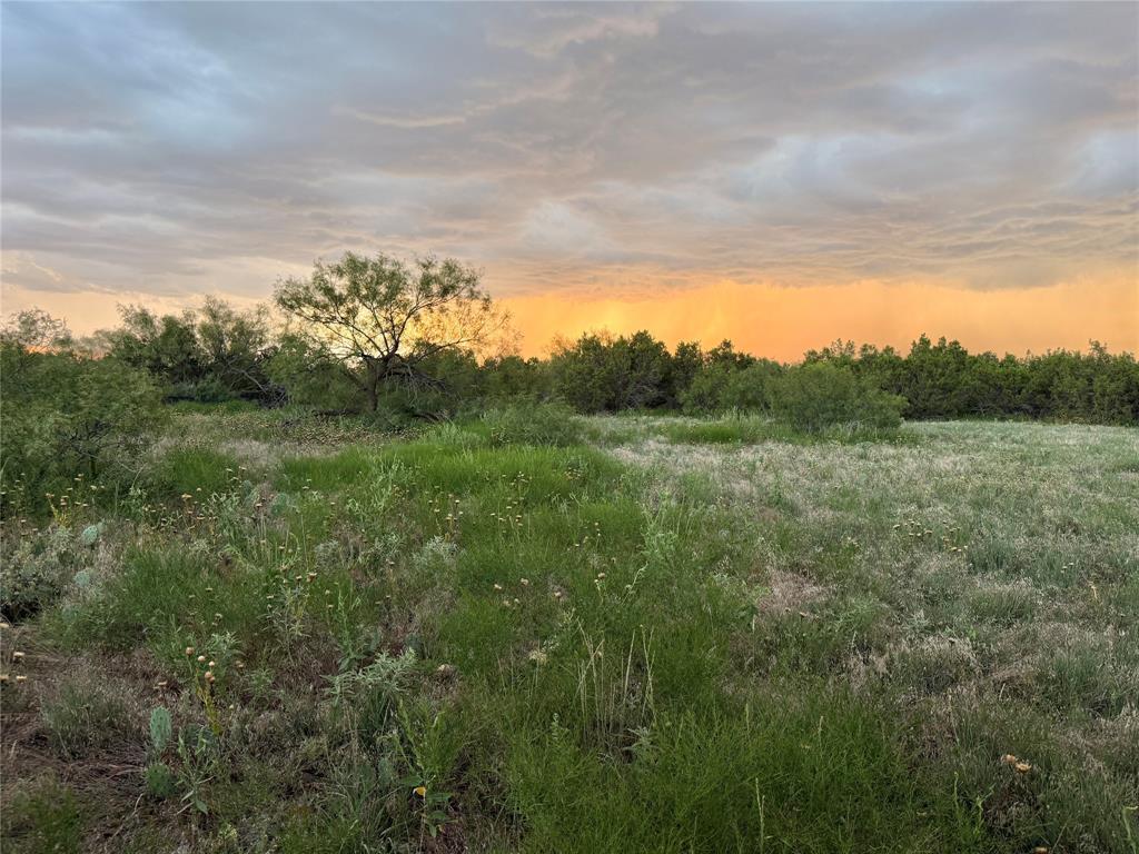 1400 Hammond Road Quanah, TX 79252 - Photo 14 of 18 a view of a field of grass and trees