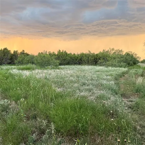 a view of a field with a tree