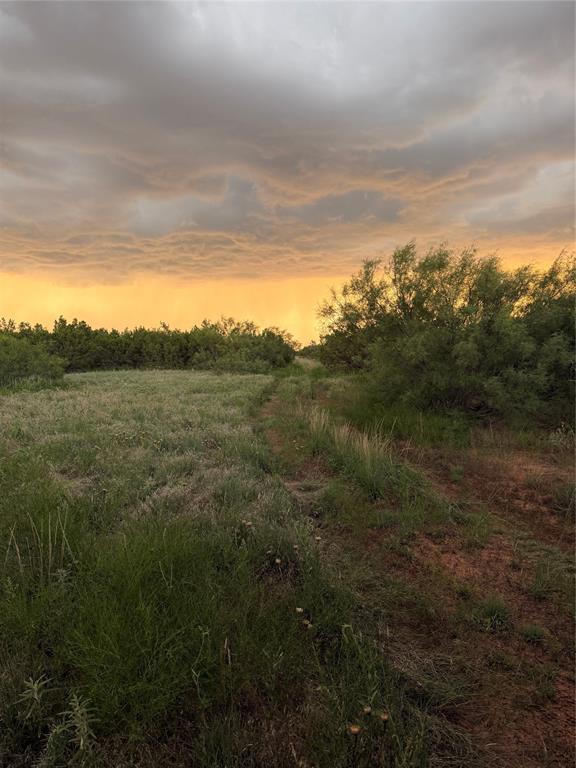1400 Hammond Road Quanah, TX 79252 - Photo 16 of 18 a view of a field with an ocean