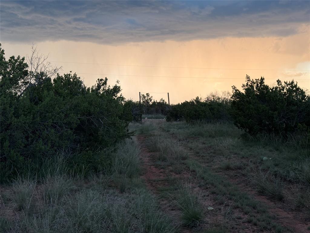 1400 Hammond Road Quanah, TX 79252 - Photo 18 of 18 a view of a field with a tree