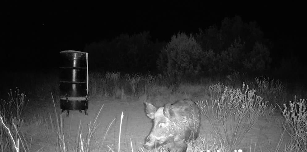 1400 Hammond Road Quanah, TX 79252 - Photo 3 of 18