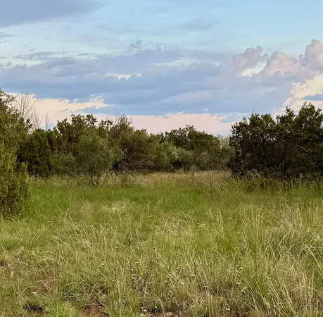 a view of a lake view with a dry yard