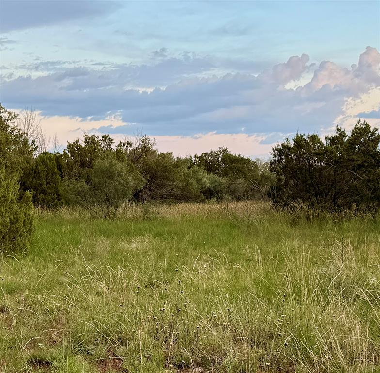 1400 Hammond Road Quanah, TX 79252 - Photo 5 of 18 a view of lake with green space