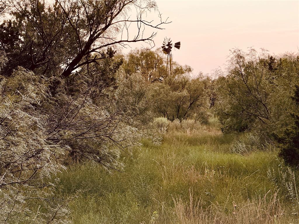 1400 Hammond Road Quanah, TX 79252 - Photo 6 of 18 a view of a dry yard next to a large tree