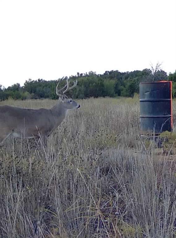1400 Hammond Road Quanah, TX 79252 - Photo 7 of 18 a view of a lake view with a dry yard