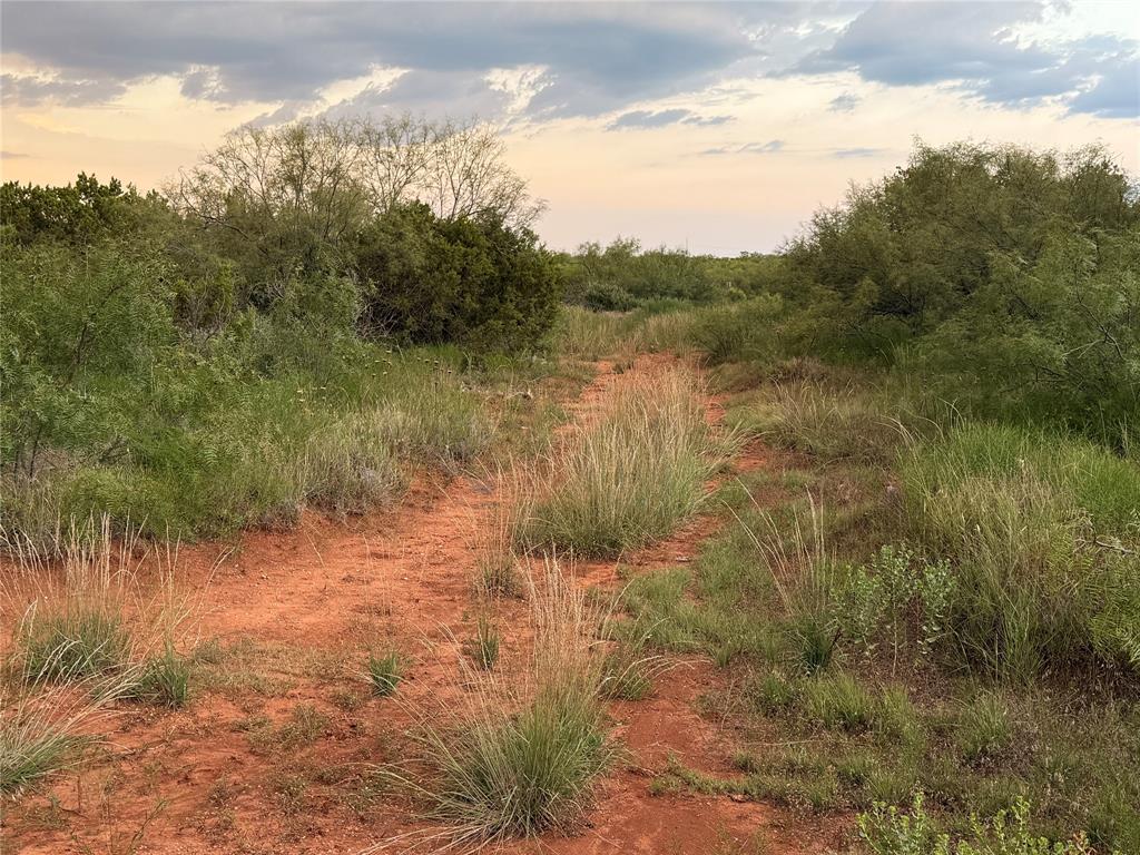 1400 Hammond Road Quanah, TX 79252 - Photo 8 of 18 a view of a lake from a yard