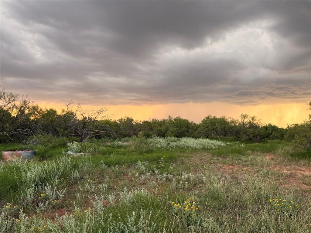 1400 Hammond Road Quanah, TX 79252 - Photo 9 of 18 a view of a field of grass and trees