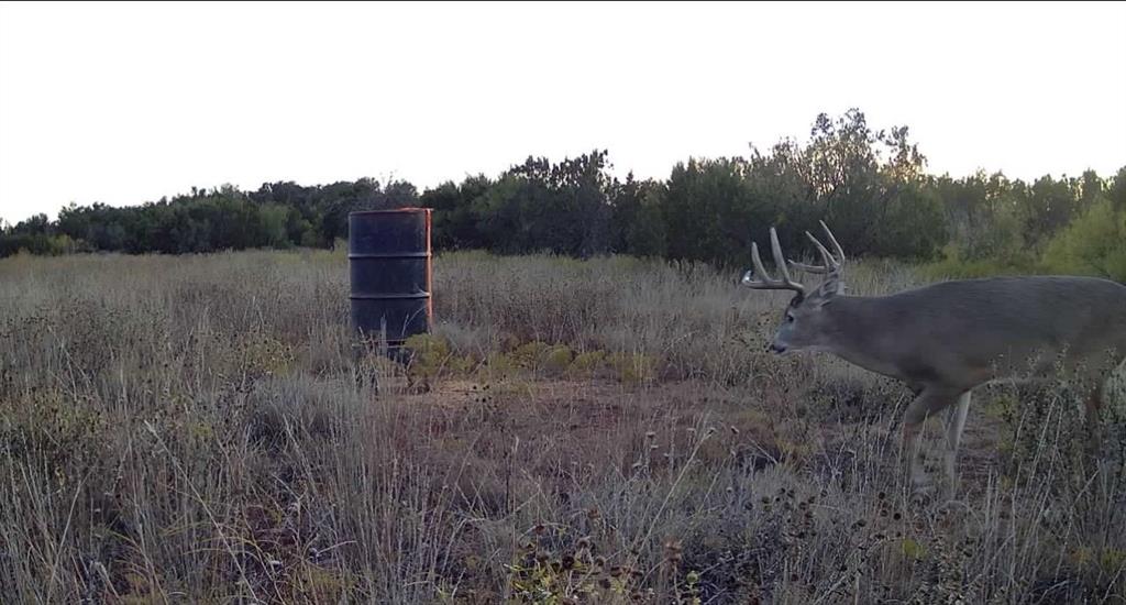 1400 Hammond Road Quanah, TX 79252 - Photo 10 of 18 a view of a outdoor space