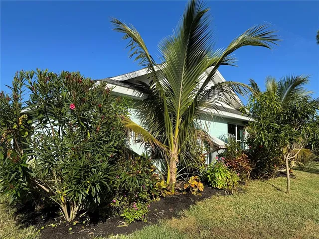 a view of a patio with table and chairs potted plants with wooden floor and large tree