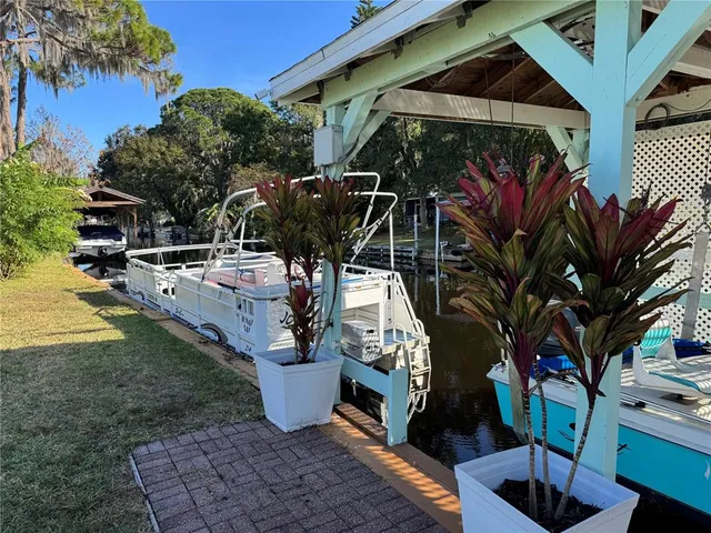 a view of a backyard with plants