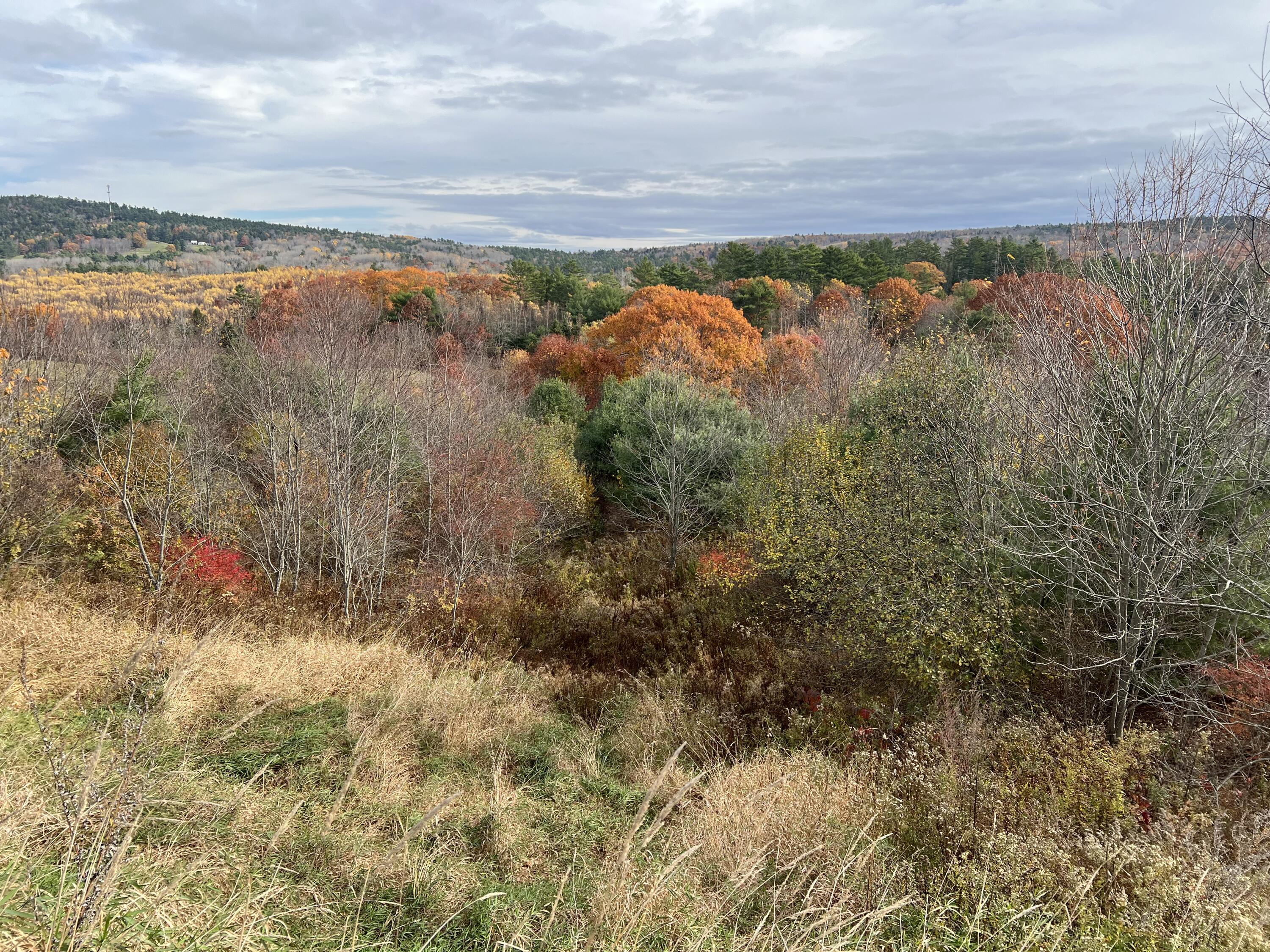 0 Bangor Road Prospect, ME 04981 - Photo 3 of 10 IMG_8023