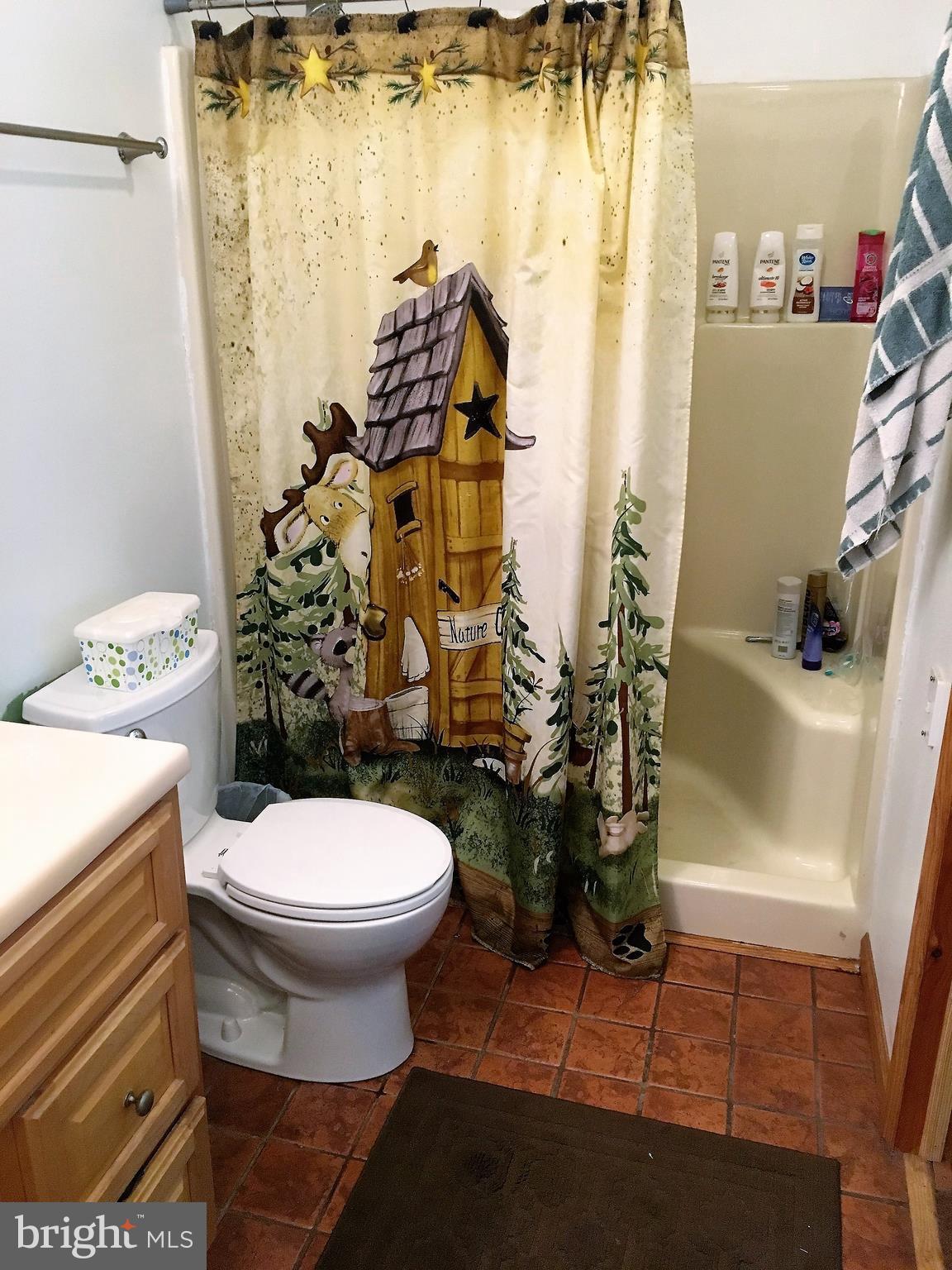 12214 Old Fort Road Fort Washington, MD 20744 - Photo 18 of 30 Bath (Master)