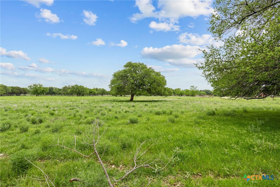 601 7 Ranch Road Salado, TX 76571 - Photo 7 of 44 a view of a green field with lots of bushes