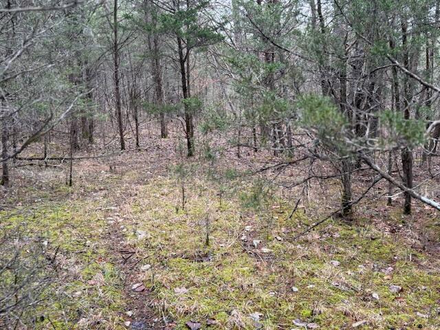 790 Rd Bronston Key Bronston, KY 42518 - Photo 18 of 27 image13