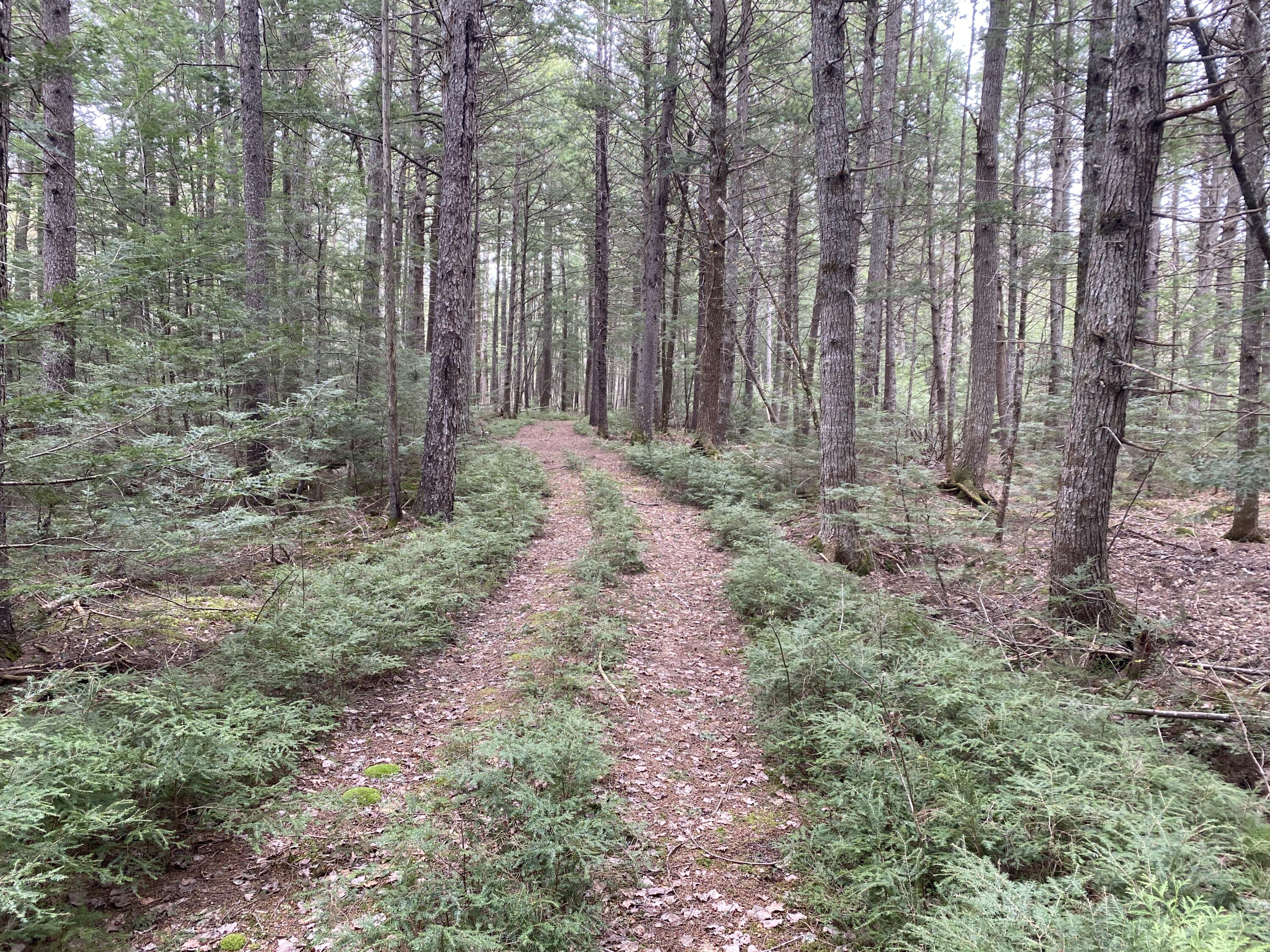 Tbd Depot Road Lakeville, ME 04487 - Photo 31 of 56