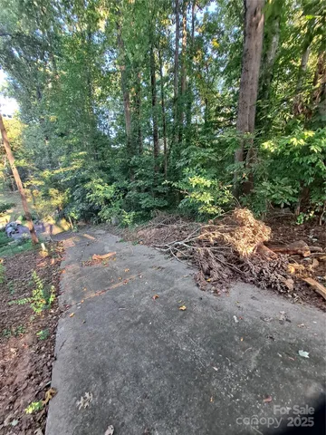 a view of a forest with trees