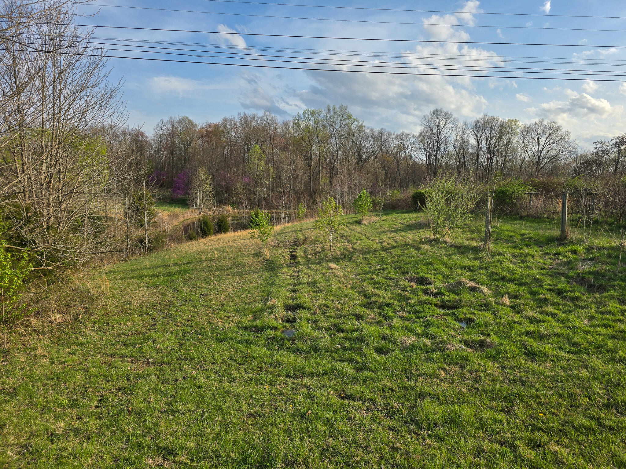 2060 Dry Ridge Road Liberty, KY 42539 - Photo 82 of 87 20250402_182418