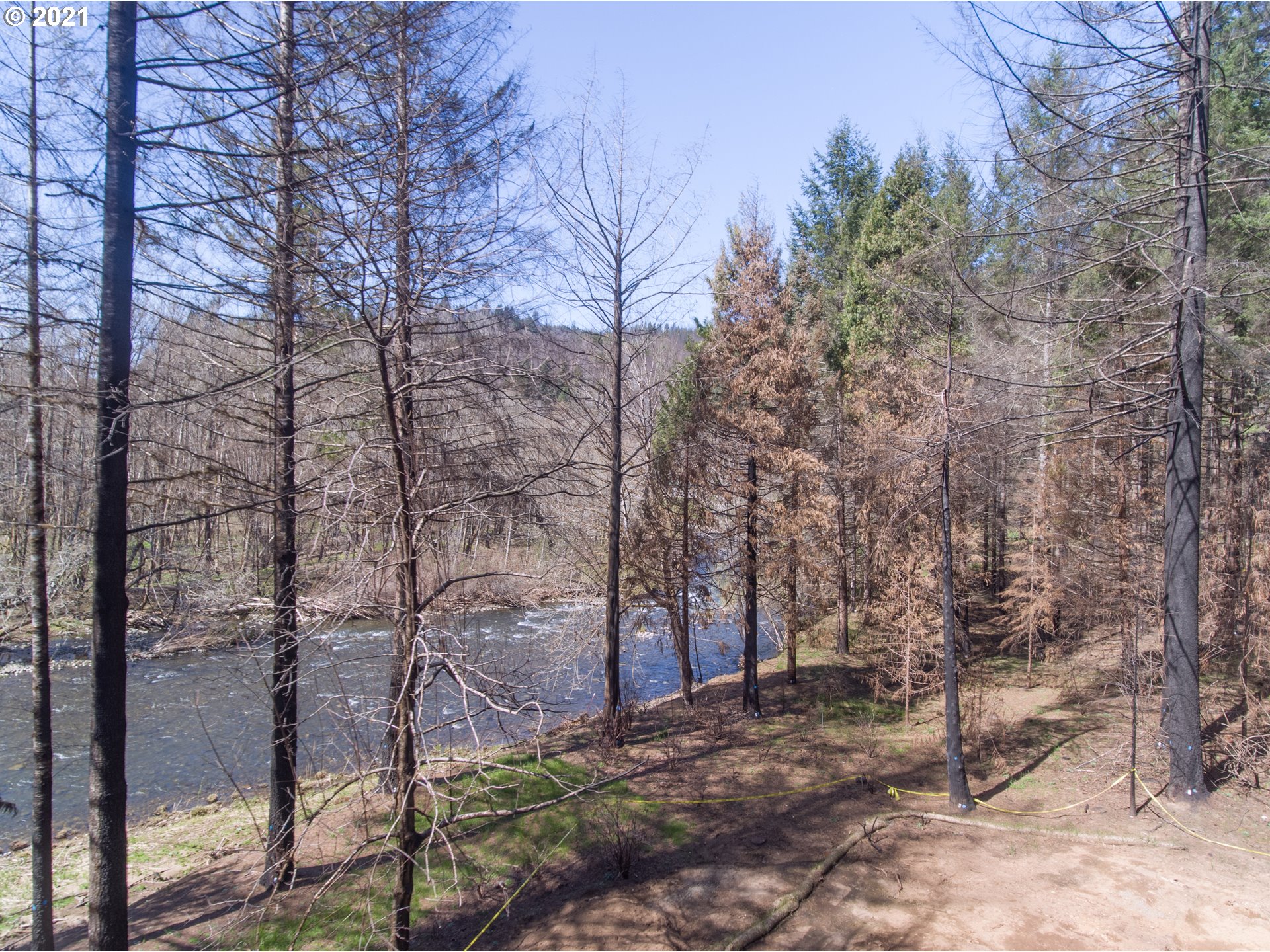 45910 North Gate Creek Road Vida, OR 97488 - Photo 5 of 31 Gallery Image 5