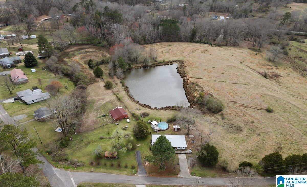 31 Briarwood Road Blountsville, AL 35031 - Photo 8 of 30