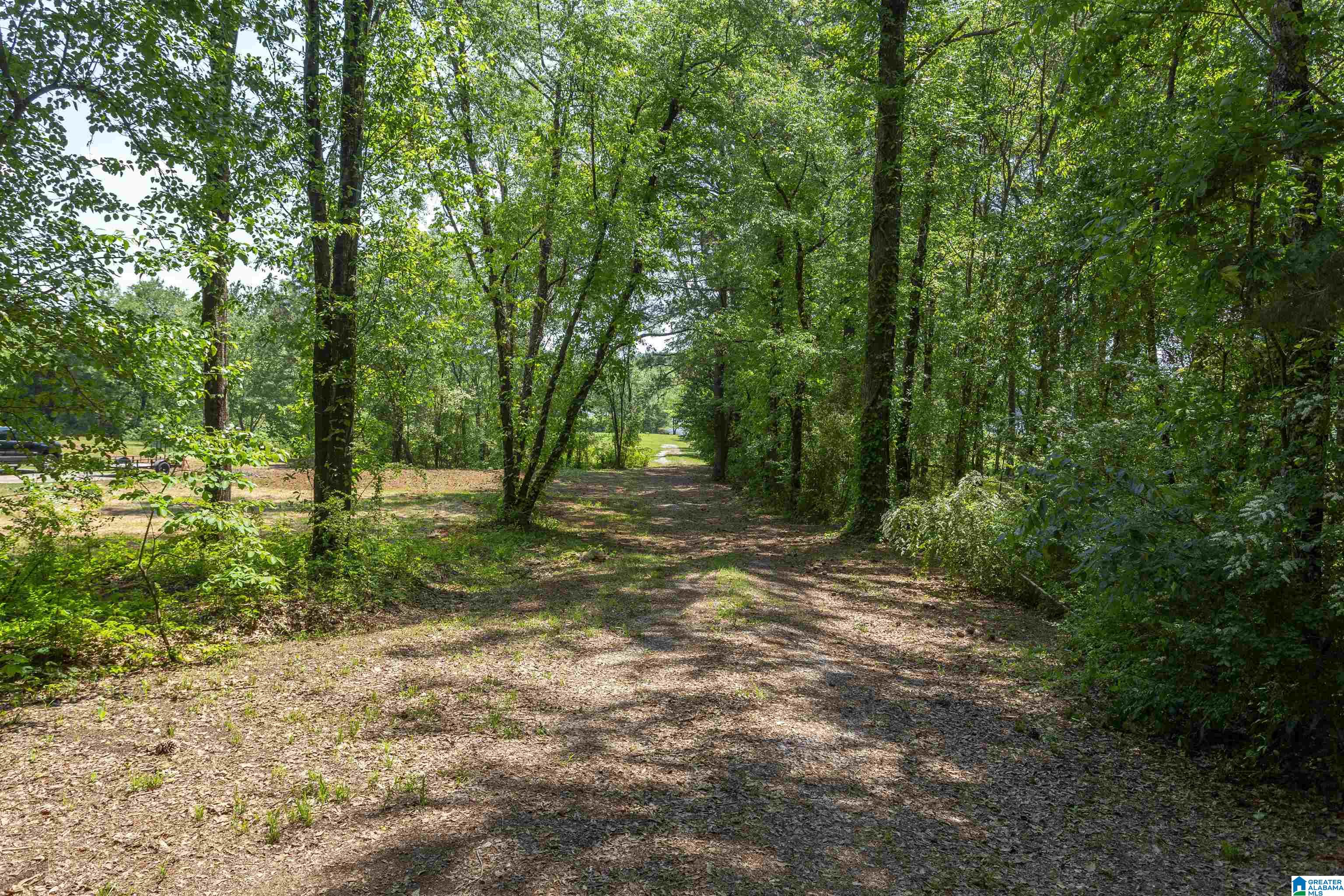 253 Carleton Point Lane, Unit 12 Wilsonville, AL 35186 - Photo 18 of 24