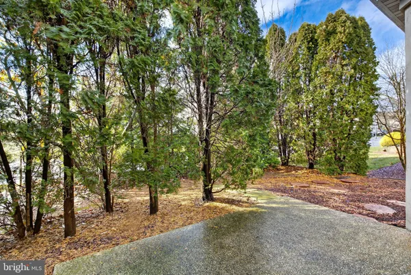a backyard of a house with large trees and plants
